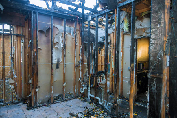 Professional Fire Damage Removal technician working in Holly Hill, FL